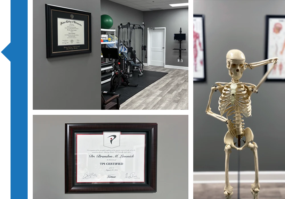 Chiropractic Port St. Lucie FL Certifications and Skeleton